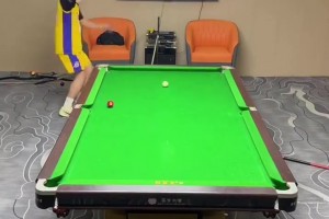 打籃球的和打臺(tái)球的都沉默了，科比也沉默了